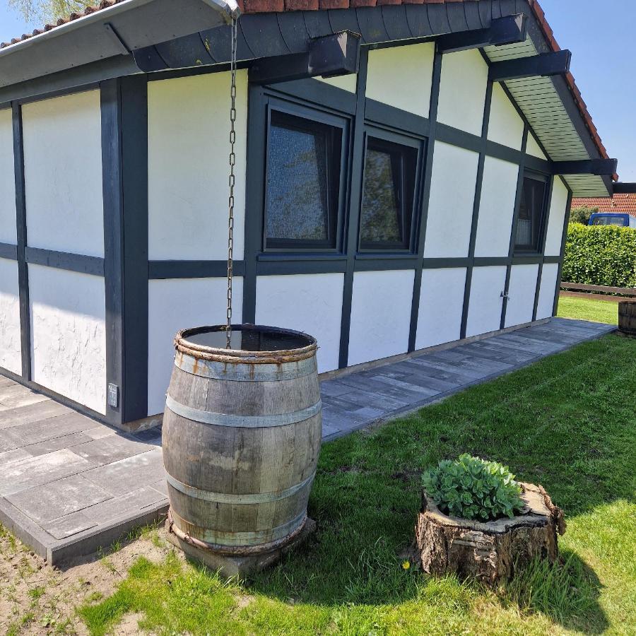 Ferienhaus Elbdiek Bachenbrock Exteriör bild